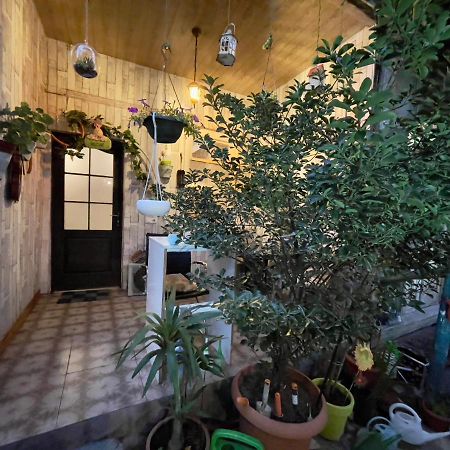 Mr Guest House Тбілісі Екстер'єр фото