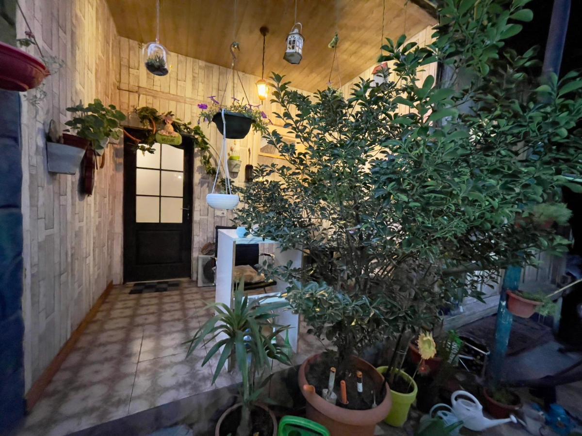 Mr Guest House Тбілісі Екстер'єр фото